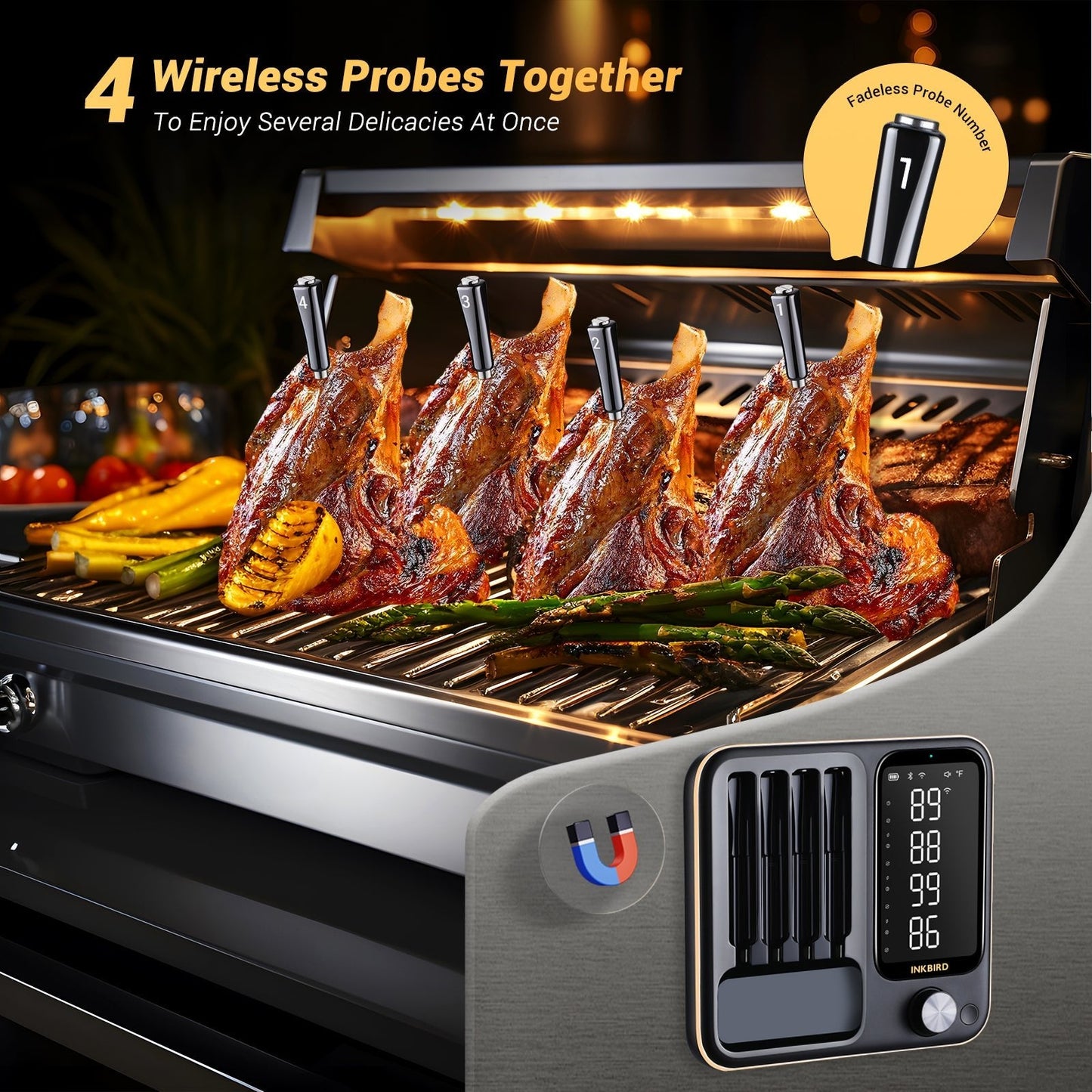 WiFi & Bluetooth Meat Thermometer INT-14-BW